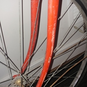 Apollo Red