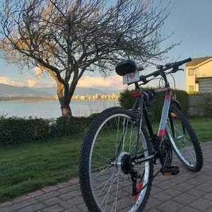 2018 Supercycle Black and Silver, gray or bare metal