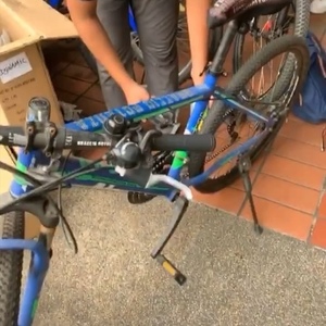 Aleoca Braccio Potenza Blue and Green