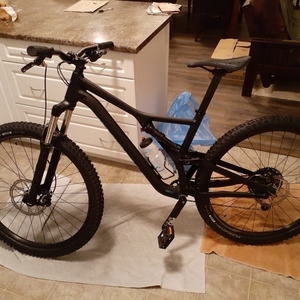 2019 Specialized Stumpjumper Black
