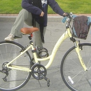 2006 Trek Yellow or Gold