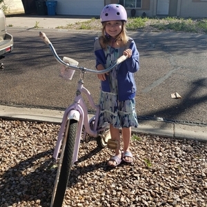 Huffy Cruiser Purple and Teal