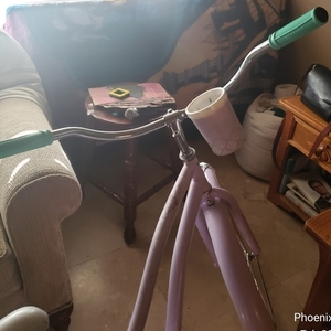 Huffy Cruiser Purple and Teal
