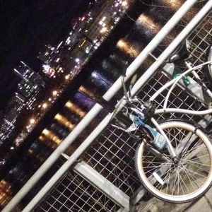 Huffy Argyle beach cruiser Silver, gray or bare metal