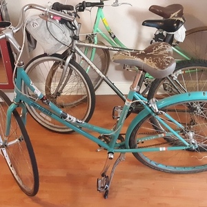 PUBLIC bikes Green