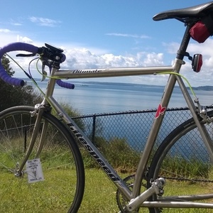 1996 Litespeed ultimate Silver or Gray