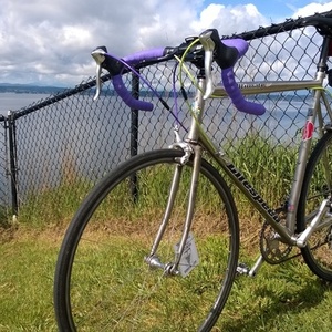1996 Litespeed ultimate Silver or Gray