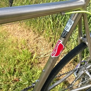 1996 Litespeed ultimate Silver or Gray