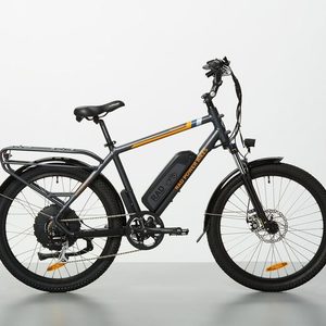 2019 Rad Power Bikes RadCity 4