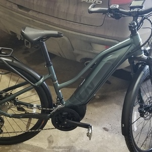 2020 Giant Step Through Green