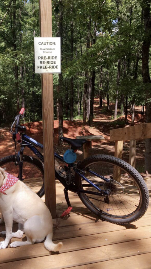 Bike photo