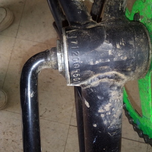 Mongoose G4712005501 Black and Green
