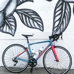 2018 Specialized Allez Elite Blue and Red