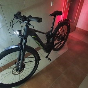 2019 Bergamont E-Helix FS Expert EQ 2019 Silver, gray or bare metal and Green