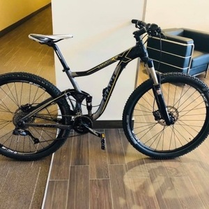 2013 Giant Trance X 29er 2 Black, Silver, gray or bare metal, and Yellow or Gold