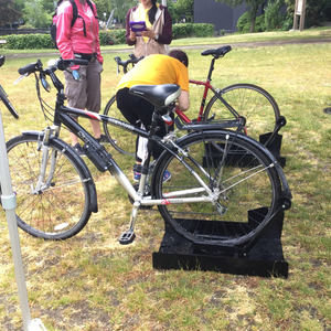 Schwinn Merano Black and Silver, gray or bare metal