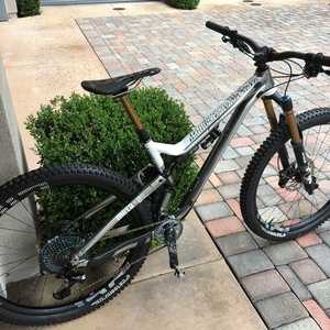 2020 Commencal META AM 29 Worlds Edition Silver, gray or bare metal