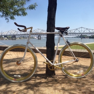 Raleigh Custome White Frame Gold wheels and Components White