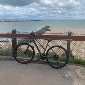 2019 SCOTT Sub cross 30 Brown