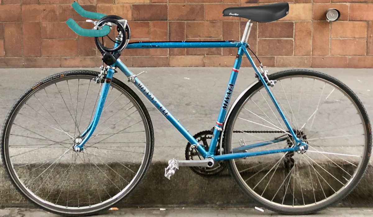 Sheena 　Ritte Vlaanderen 51サイズ Stolen 1981 Miyata 750SR