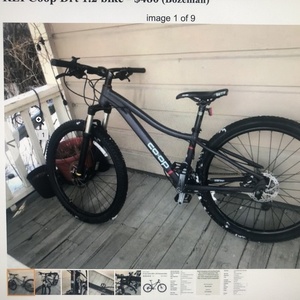 2019 REI drt 1.1 Blue