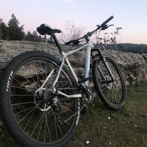 Raleigh Talus Silver, gray or bare metal