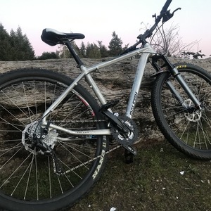Raleigh Talus Silver, gray or bare metal
