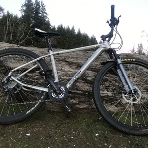 Raleigh Talus Silver, gray or bare metal