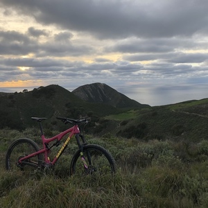 2016 Santa Cruz Bronson CC Pink