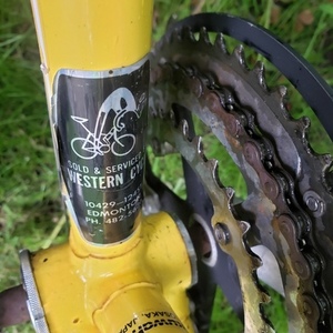 Kuwahara Yellow or Gold