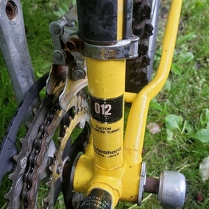Kuwahara Yellow or Gold