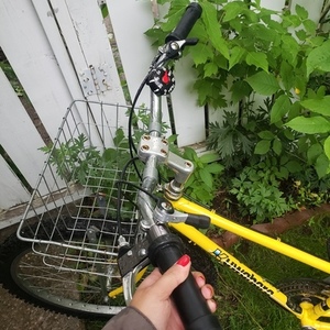 Kuwahara Yellow or Gold