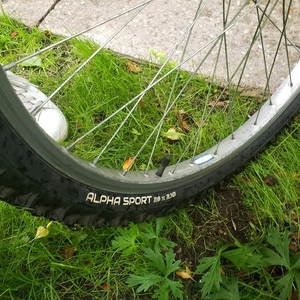Kuwahara Yellow or Gold