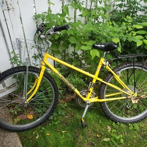 Kuwahara Yellow or Gold