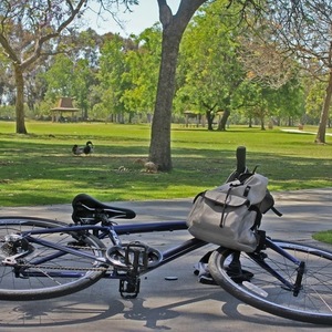 2013 Fuji Absolute 2.1 Blue