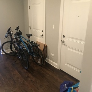 Giant ALIGHT 2 Purple