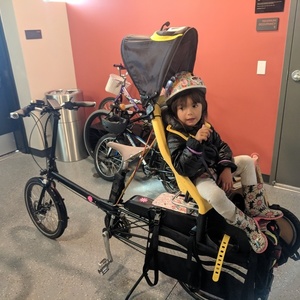 2016 Bike Friday Haul-a-Day cargo bike (rear storage) Black