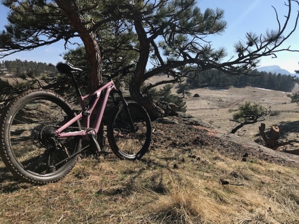 pinkbike stumpjumper