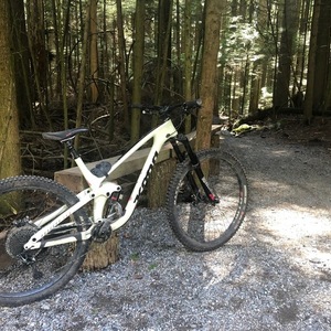 2019 Kona Process 153 White and Black