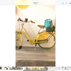 2008 Electra Commuter Yellow or Gold