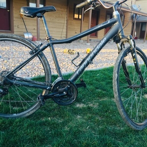 2019 Cannondale Adventure Black and Silver, gray or bare metal