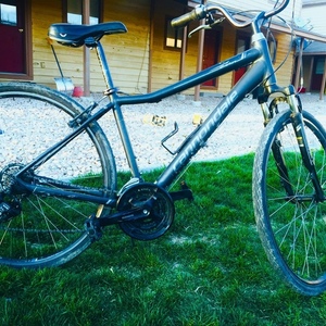 2019 Cannondale Adventure Black and Silver, gray or bare metal