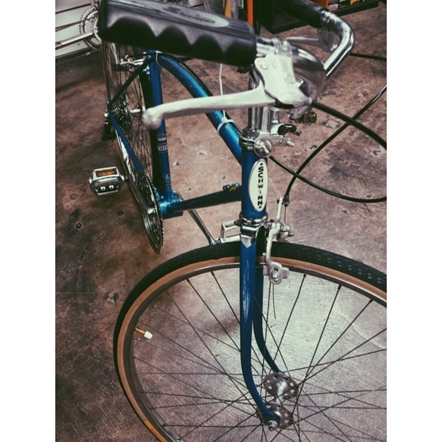 schwinn camelback