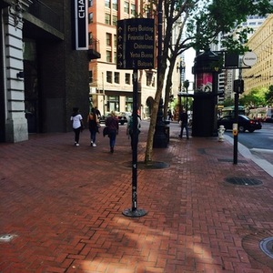 2009 Masi Vincere Blue