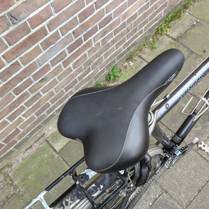 Giant Expedition Silver, gray or bare metal