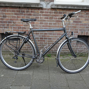 Giant Expedition Silver, gray or bare metal