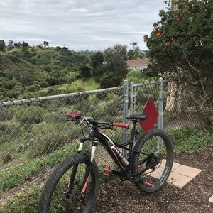 Specialized Specialized Black