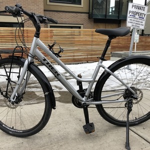 Trek Silver, gray or bare metal