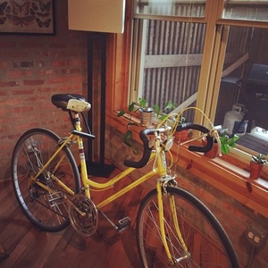 1975 Schwinn Continental Yellow or Gold