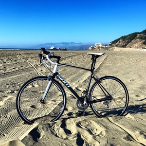 2015 Giant Defy 2 Silver or Gray, White, and Red